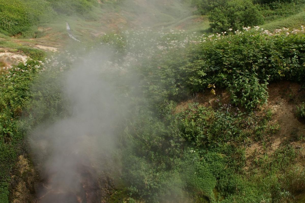 Свидание с Камчаткой в ИЮНЕ (комбинированный тур на внедорожниках, без палаток и восхождений)