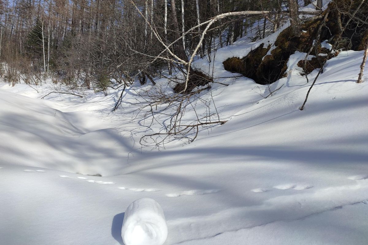 Горные купола Тукурингры