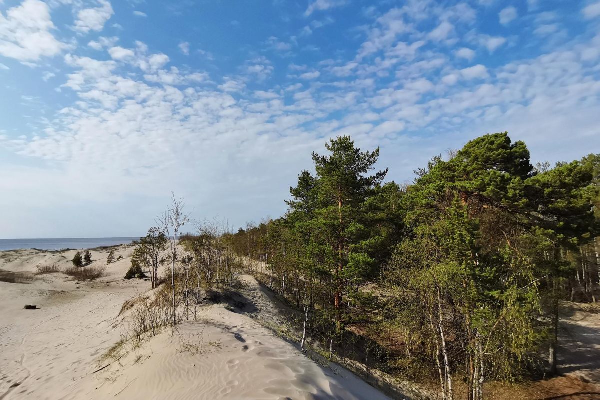 Ожерелье Северного края (Каргополь + Архангельск)