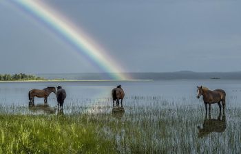 В край былинный, сказочный