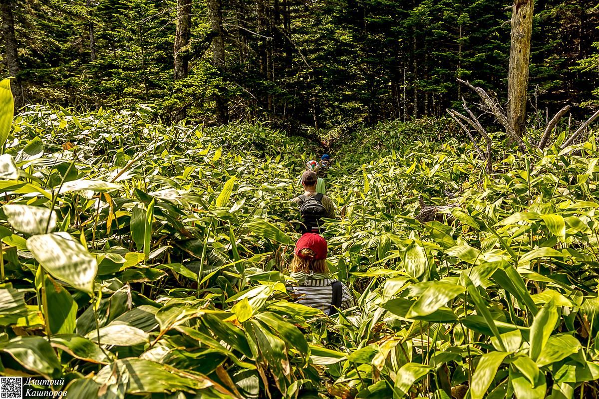 Четыре вулкана Курильских островов. Путешествие на другую планету