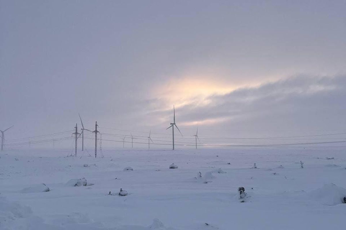 Териберка с морской прогулкой (зима)