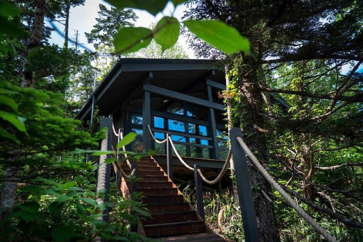 Приключения на краю света