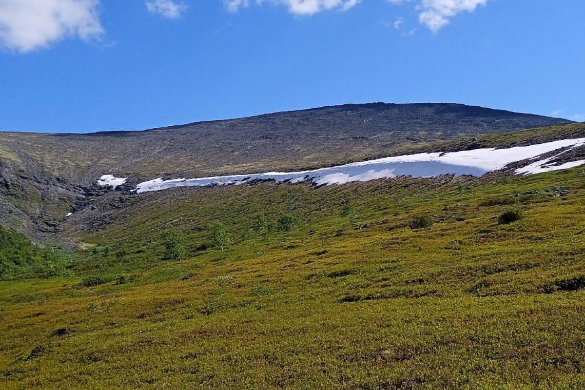 По волнам Арктики (пешая прогулка)