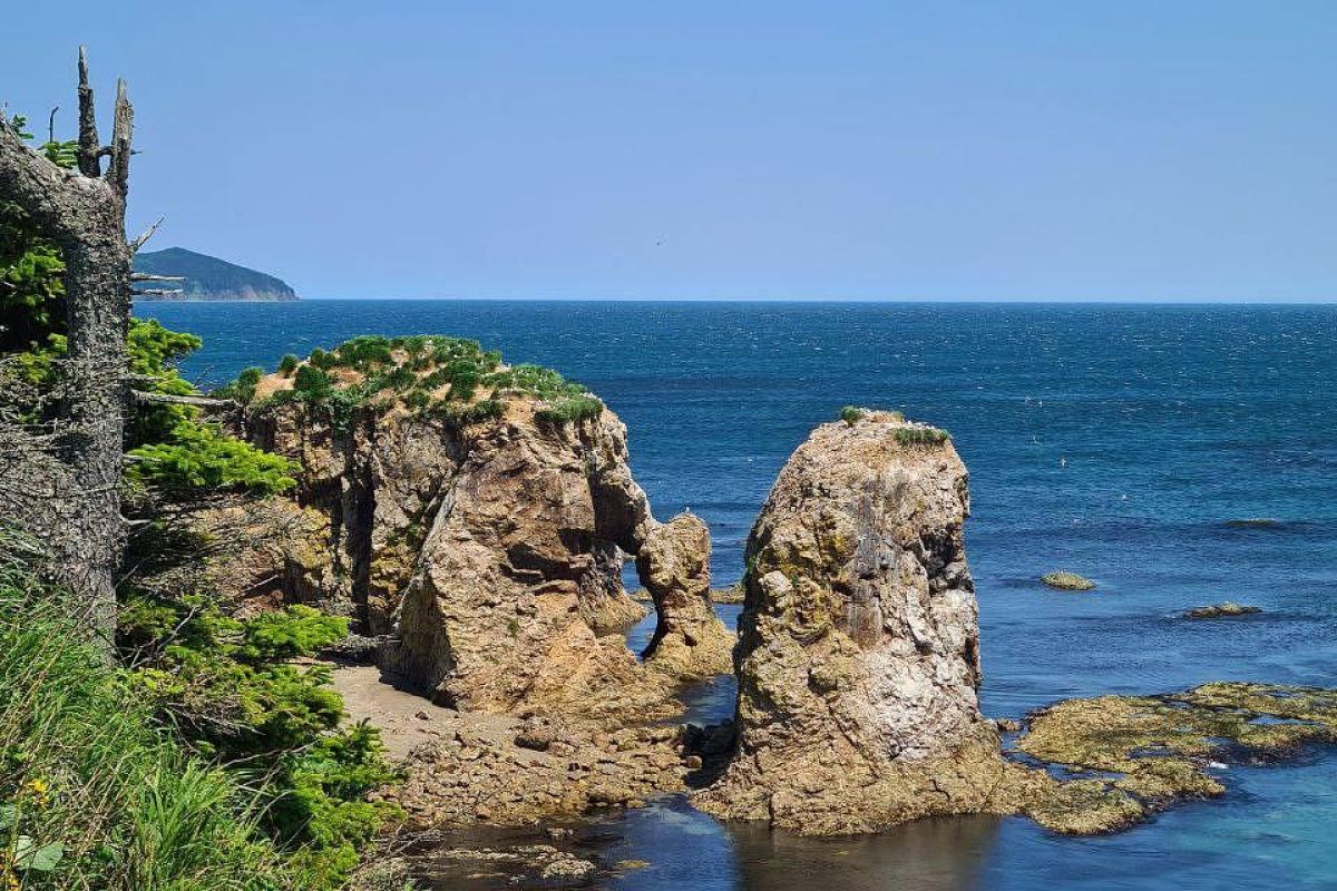 Мыс Великан. Мыс Птичий