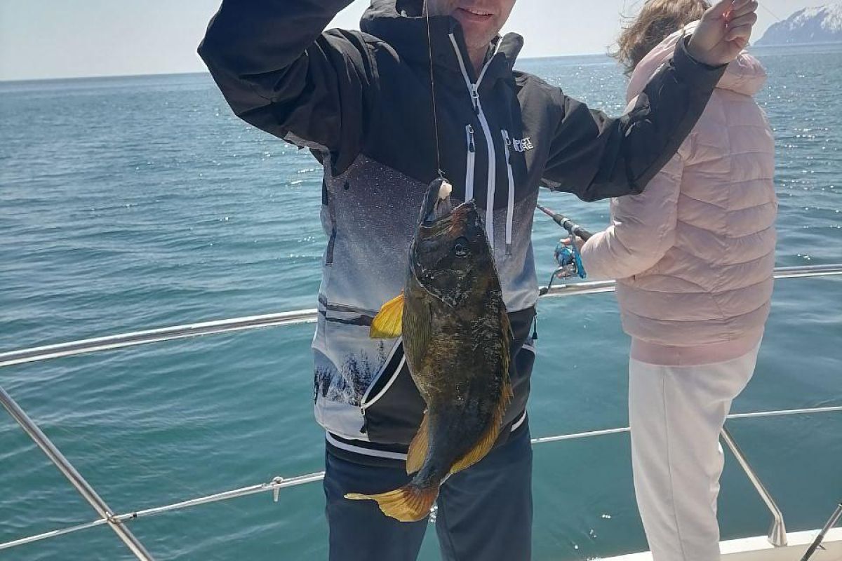 Камчатка. Июньская мозаика 2026