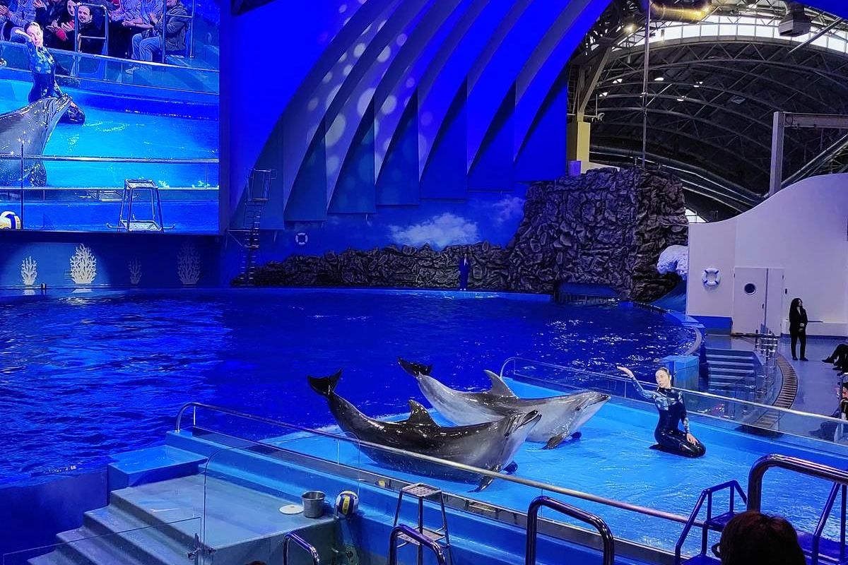 Тур "Тигры.Устрицы.Мосты"