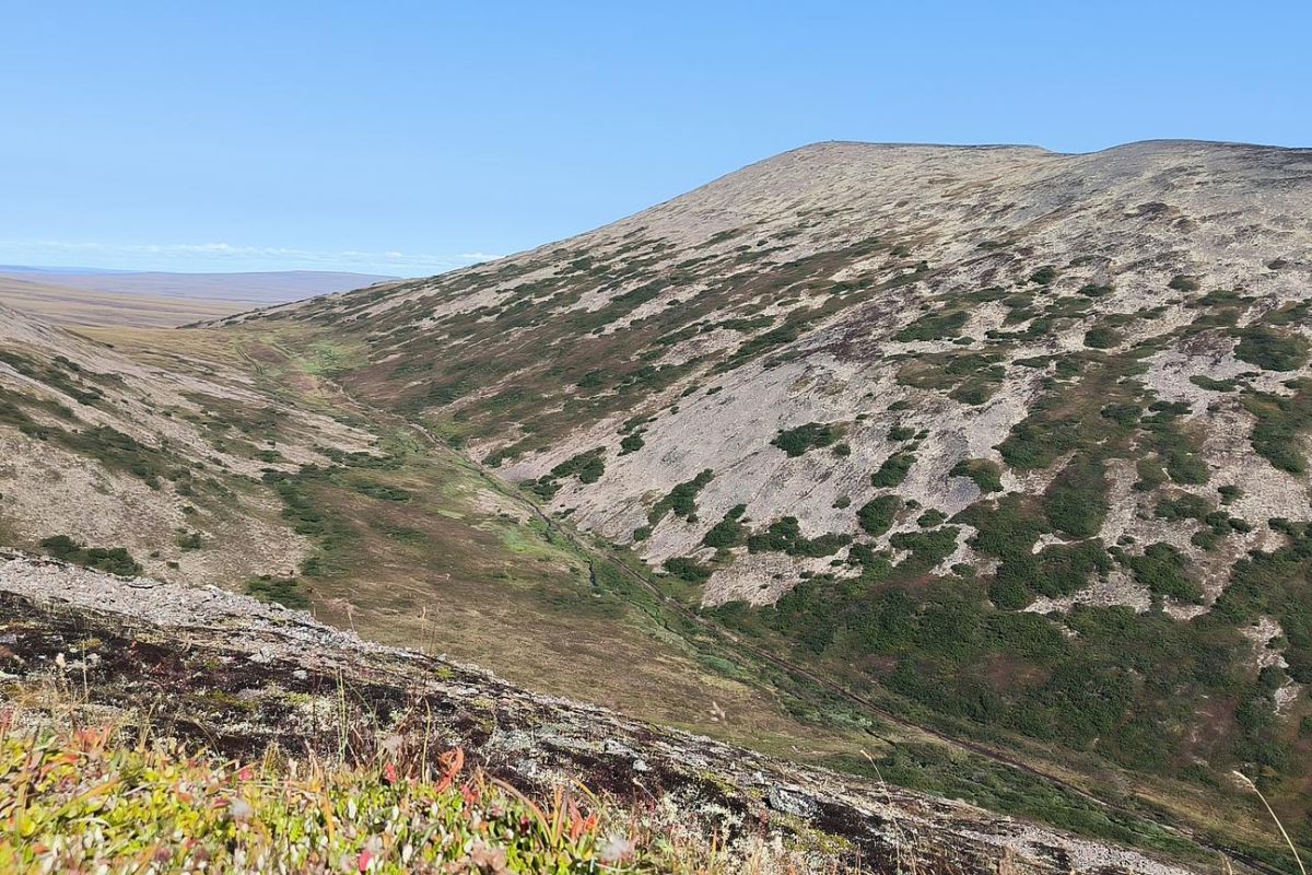 Прогулка по древнему вулкану (г. Анадырь, гора Дионисия), тур с ночёвкой