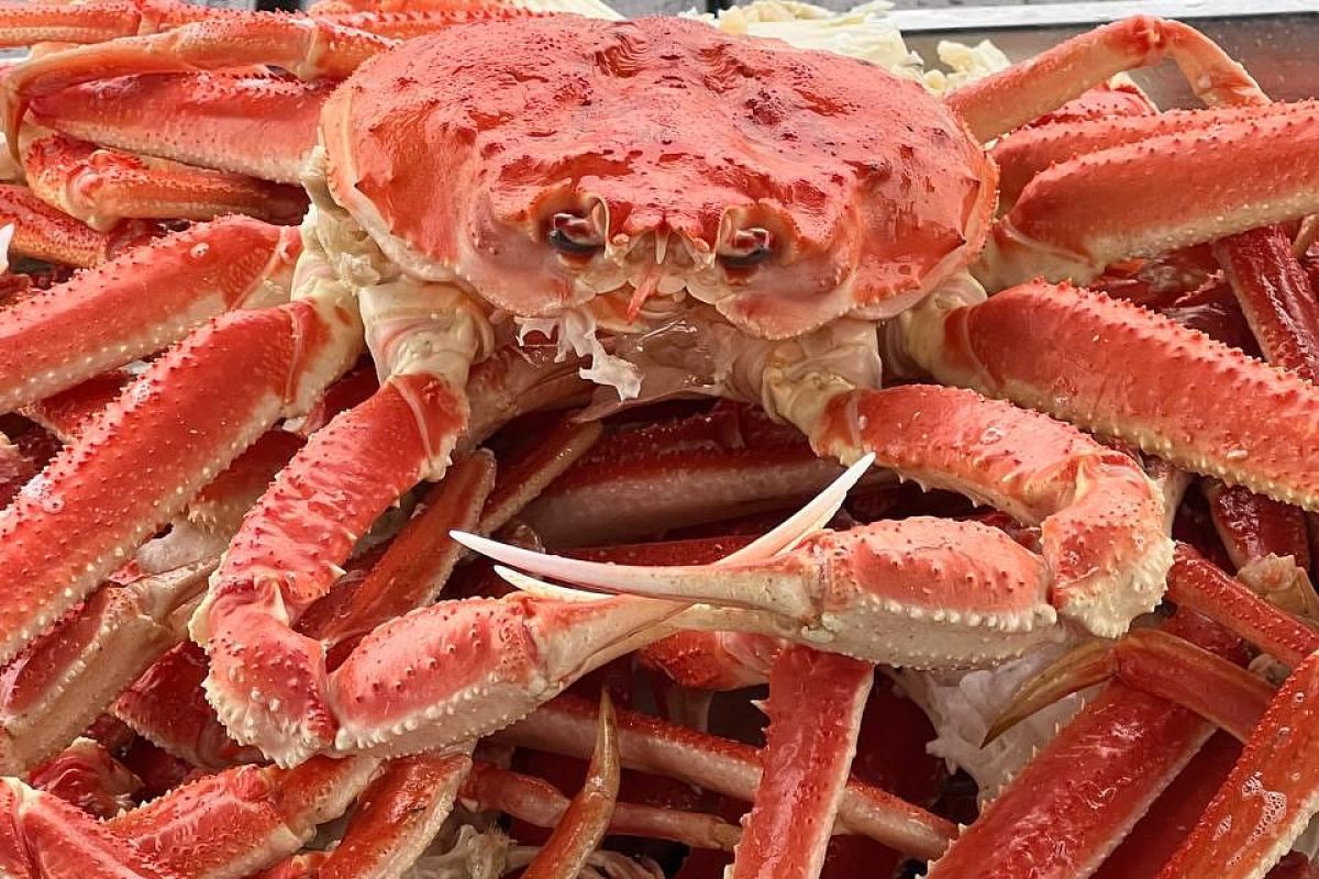 Морская прогулка по бухтам с выходом в океан