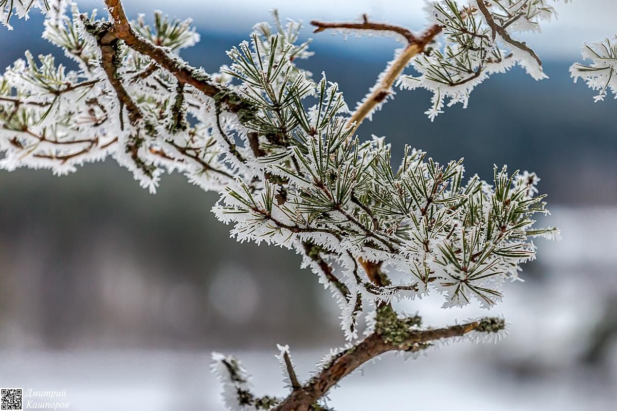 Времена года. Зимняя Карелия с фотографом. Путешествие на другую планету