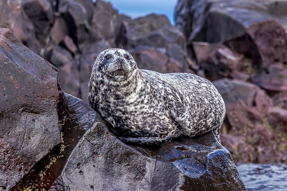 Интенсивный Итуруп. Путешествие на другую планету