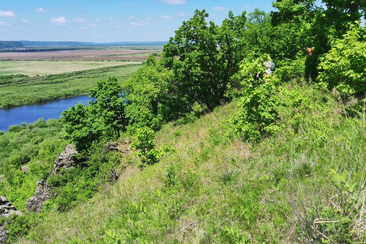 Поход выходного дня к памятнику природы "Михайловские столбы"