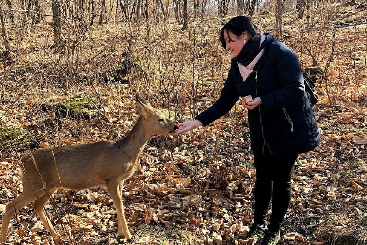 Тур "Знакомство с Владивостоком"