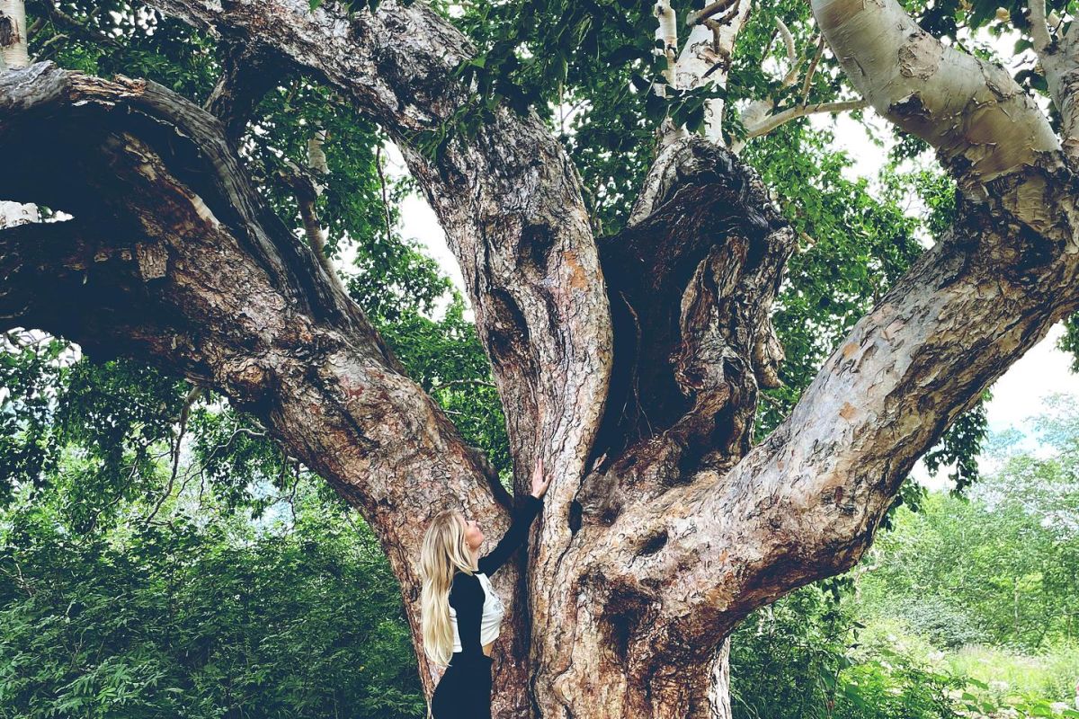 Джип-тур на озеро Толмачева и Апачинские / Начикинские источники