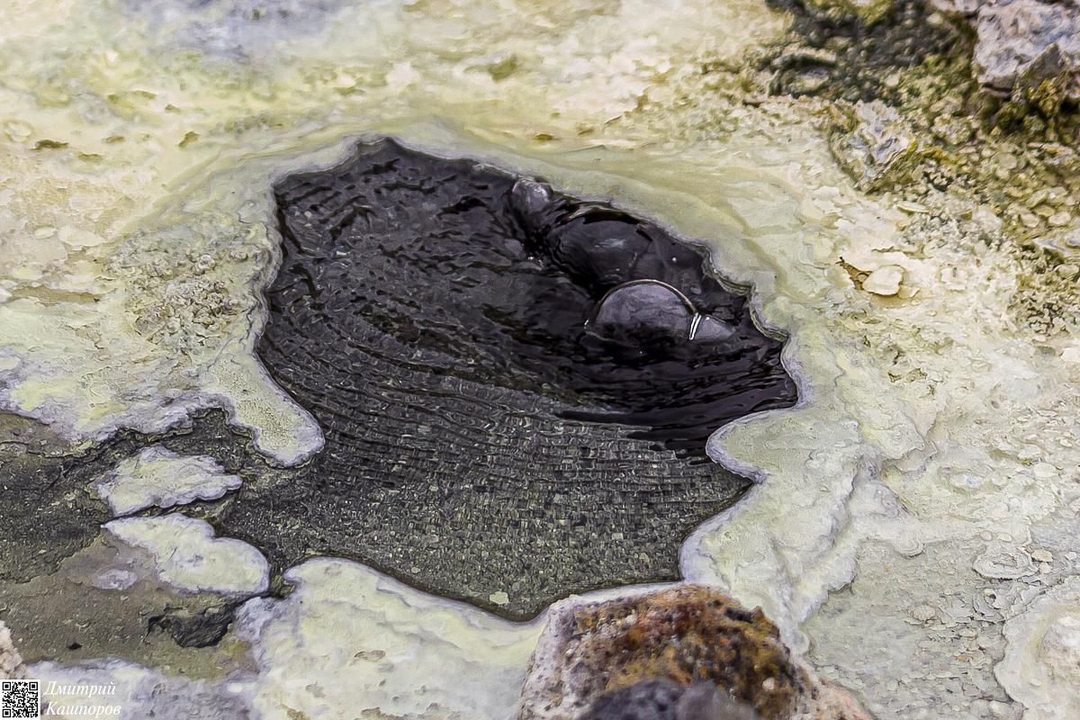 Кунашир и Шикотан. Путешествие на другую планету