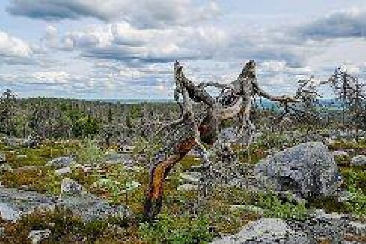 Мистическая гора Воттоваара
