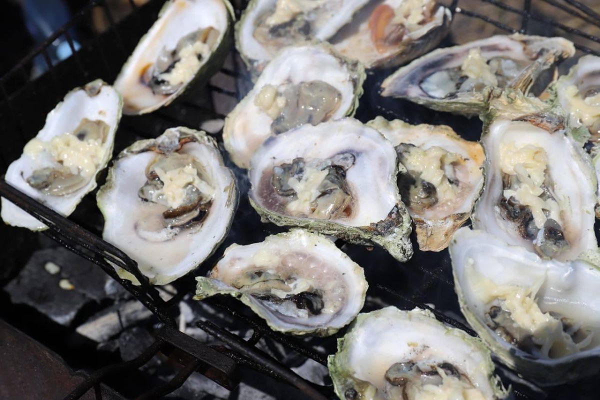 Озеро Буссе. Ловля устриц