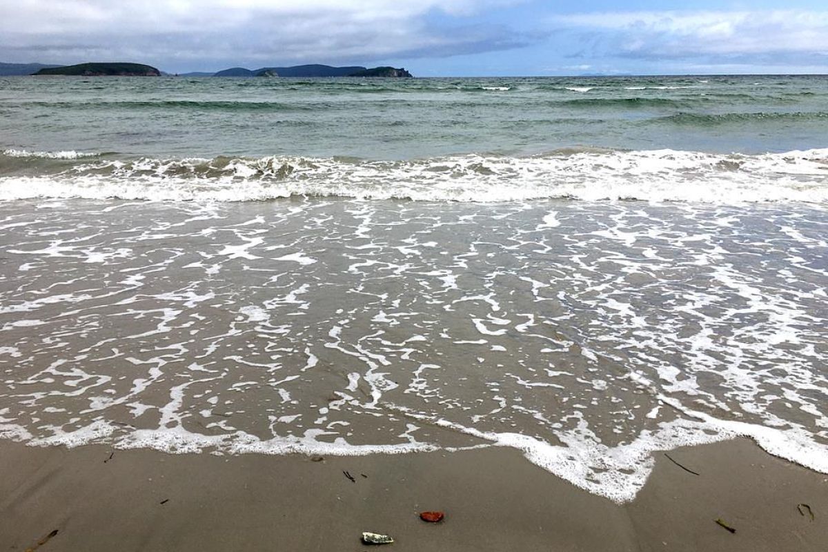 Тур "Морской заповедник"