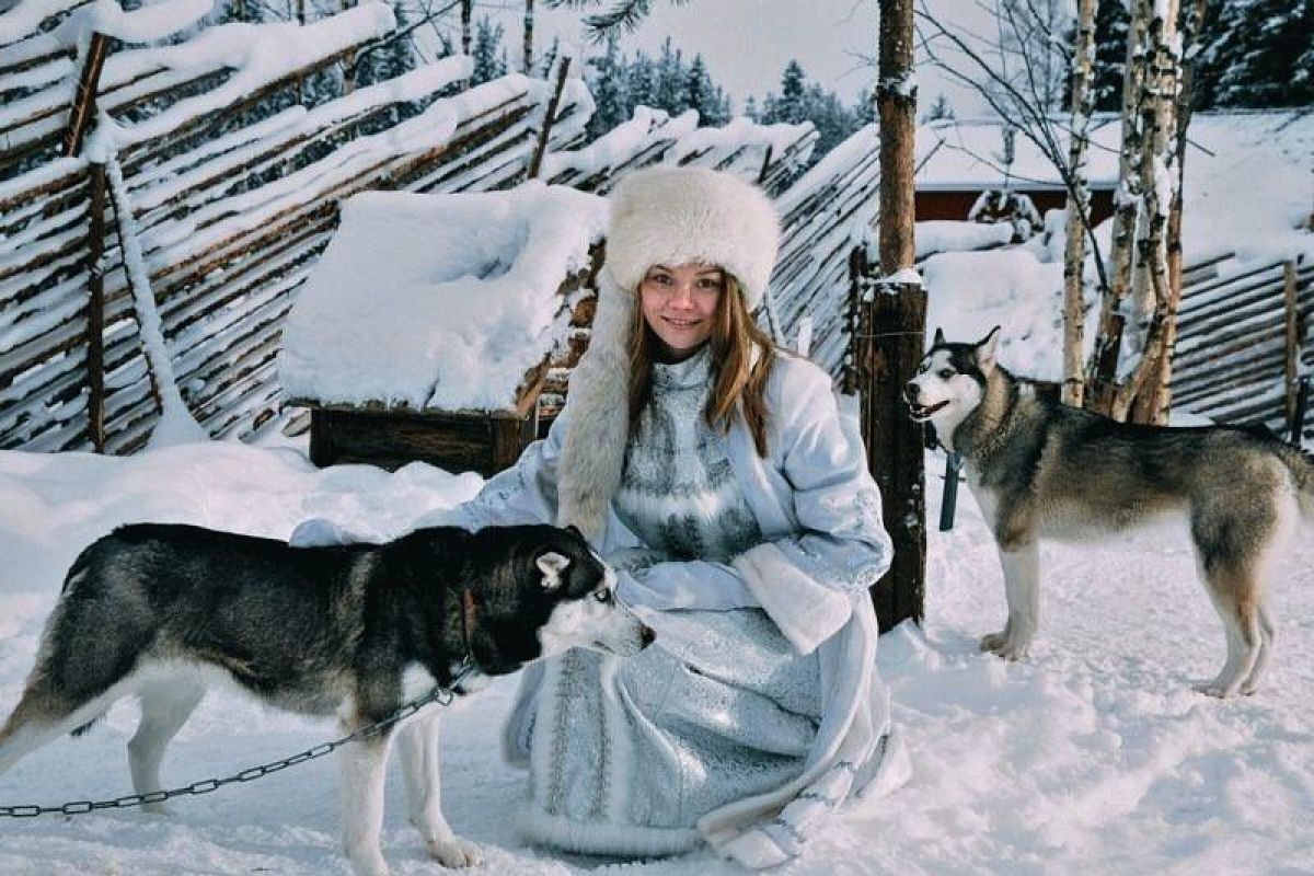 Хаски и олени: экскурсия в карельский питомник