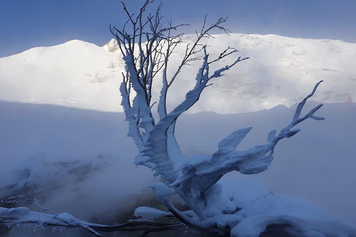 Весна на Камчатке