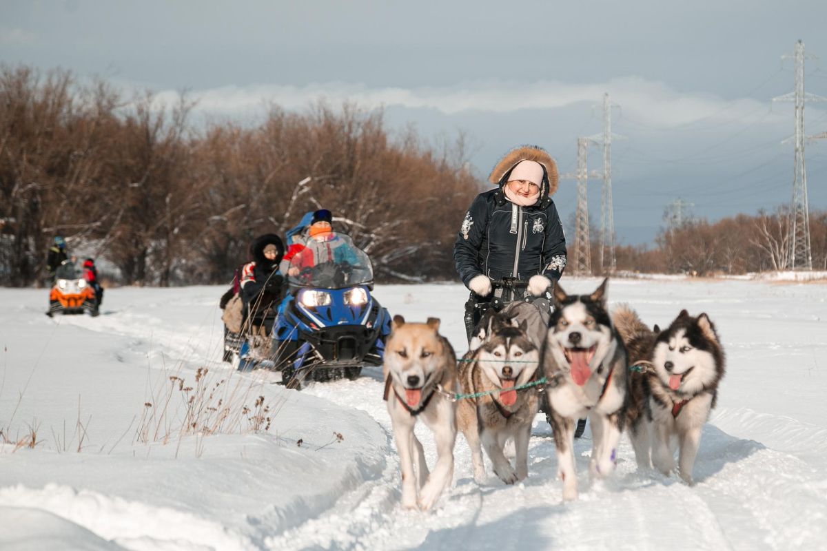 Катание на собачьих упряжках, купание в радоновых источниках
