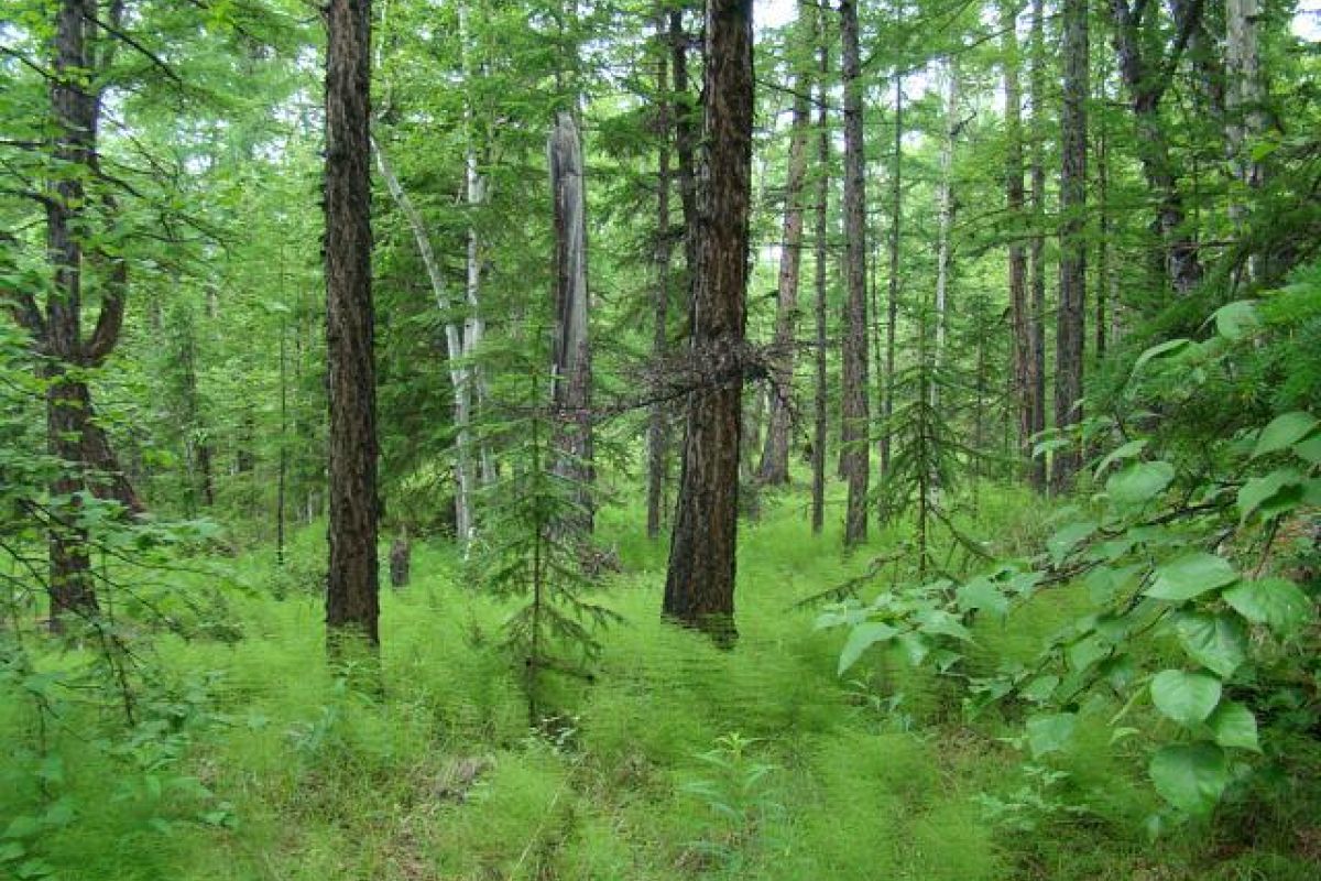 Обзорный тур по Камчатке, активный тур с восхождениями и отдыхом в SPA-отеле