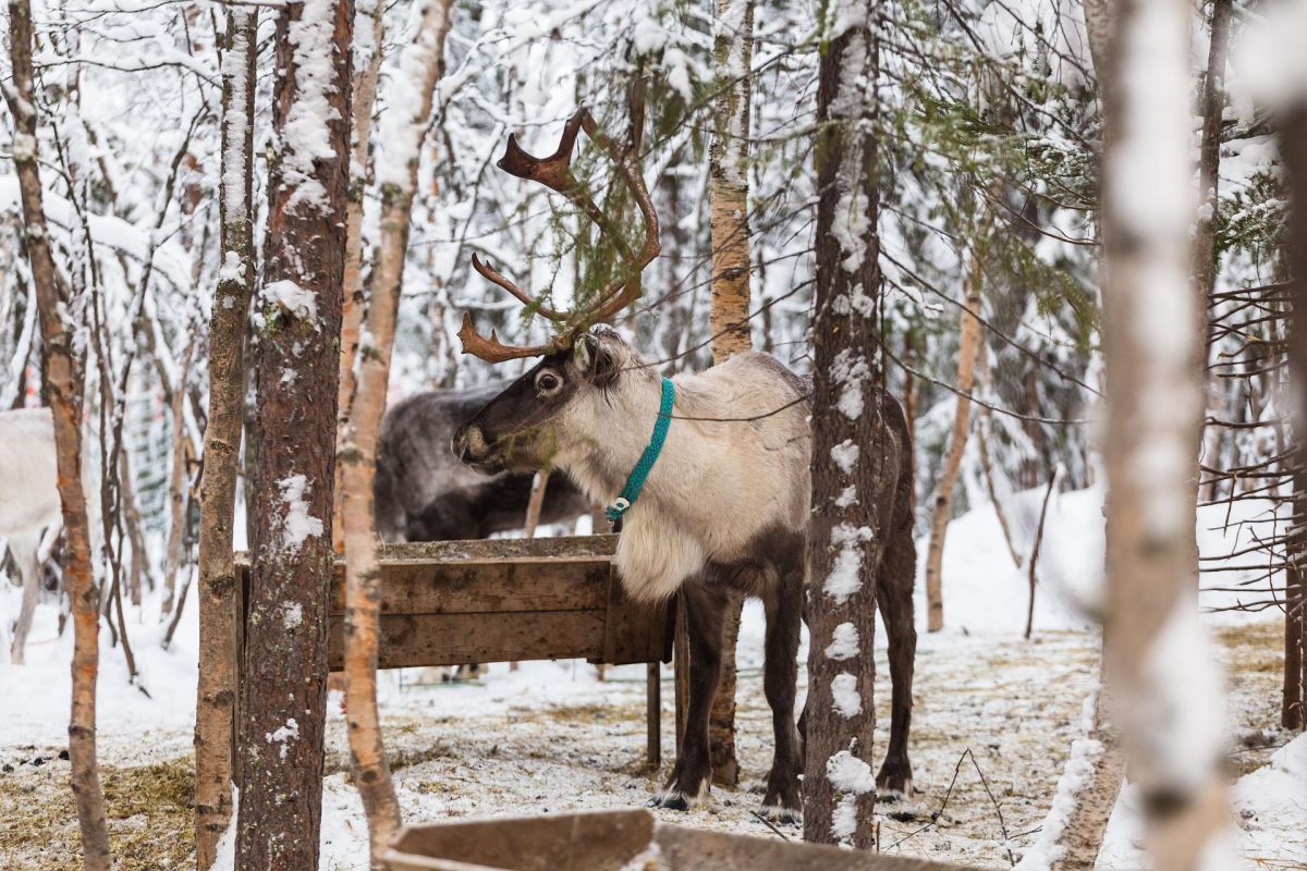 Кольский Викенд (пешая прогулка)