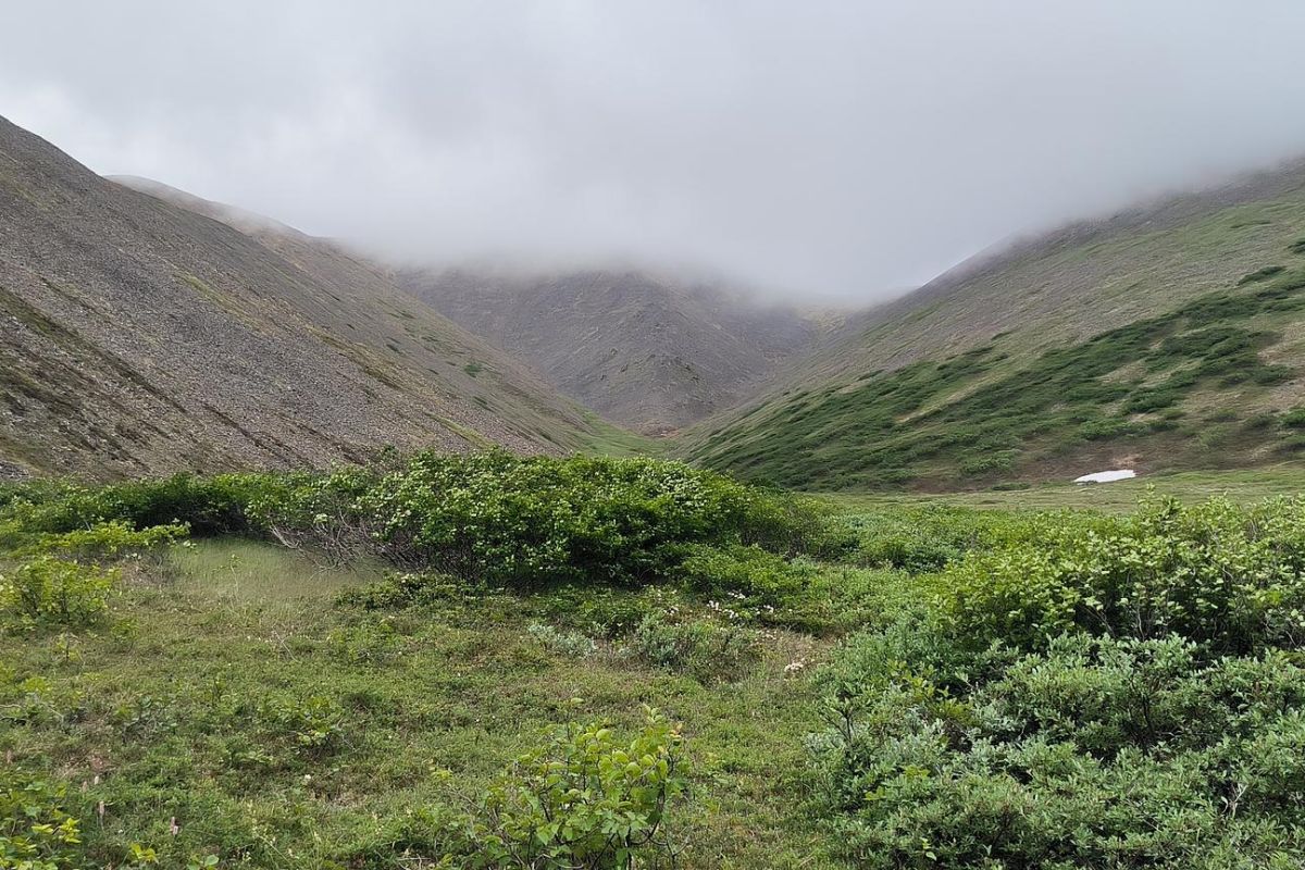 Прогулка по древнему вулкану (г. Анадырь, гора Дионисия), тур с ночёвкой