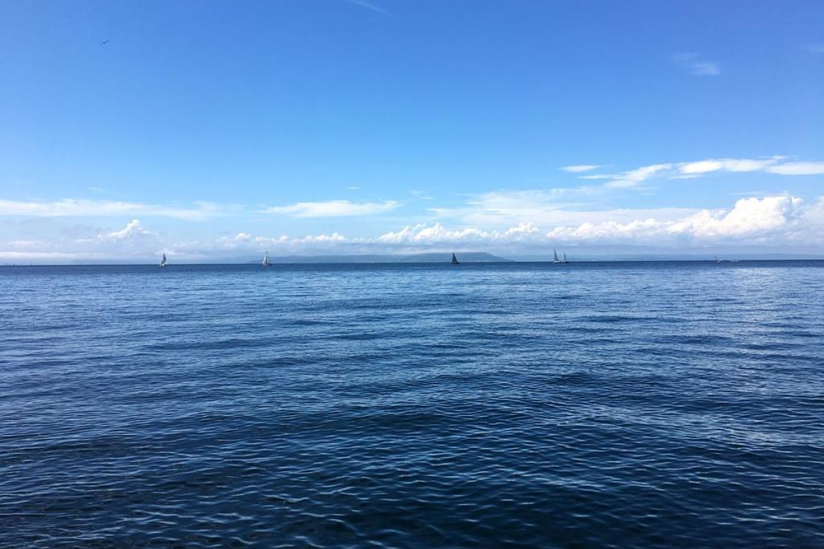 Тур "Морской заповедник"