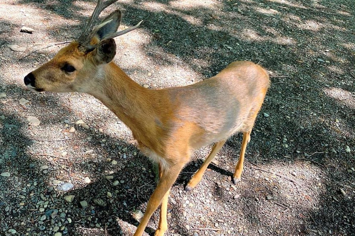 Тур "МорскаЯ"