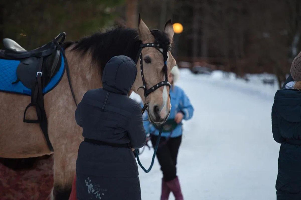 «Краски Севера» (3 дня/2 ночи)