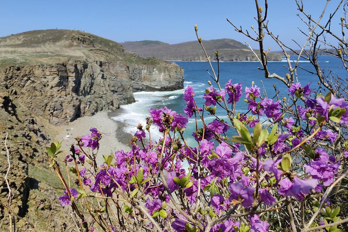 Тур "Дыхание весны у моря" (1 - 6 мая 2026)