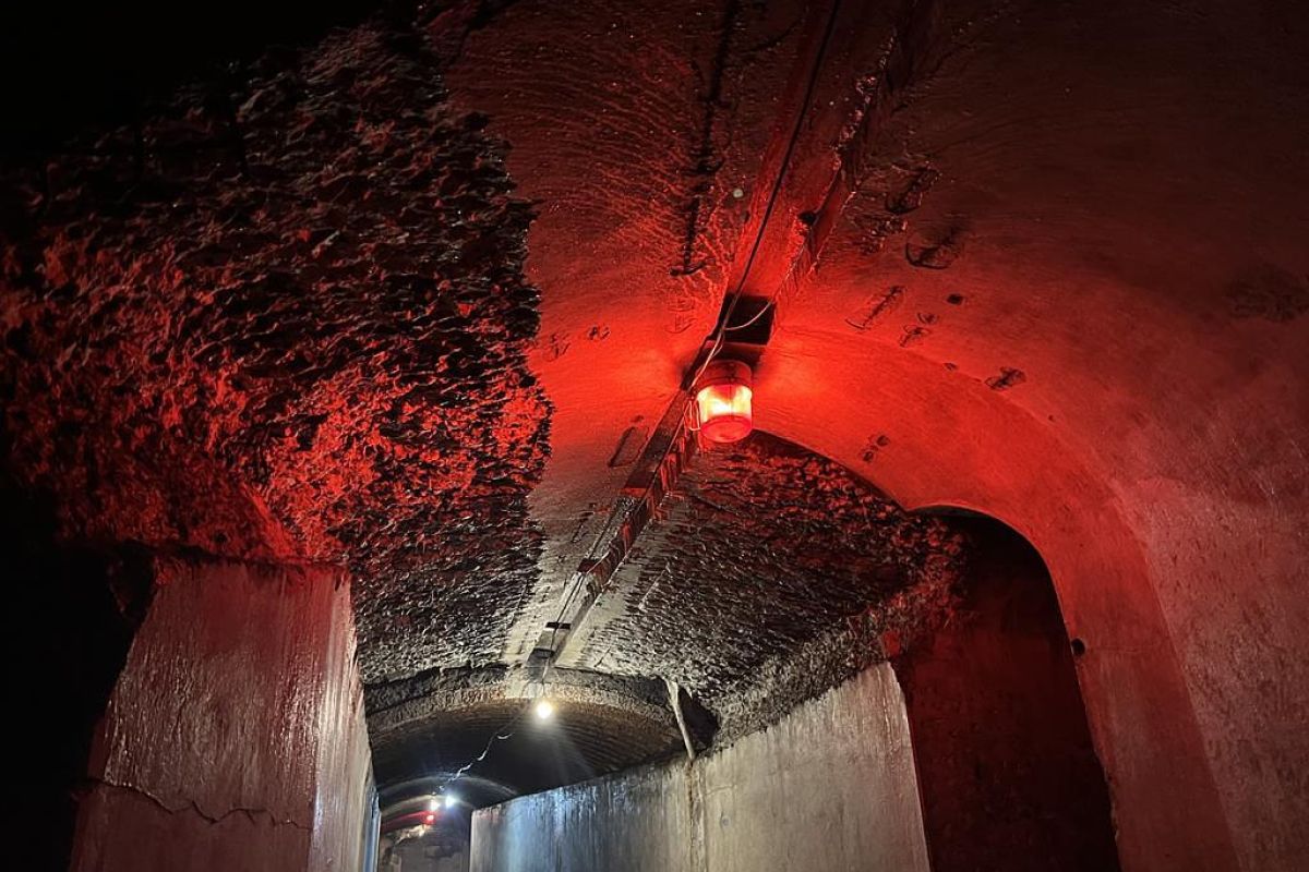 Тур "Открой Владивосток"