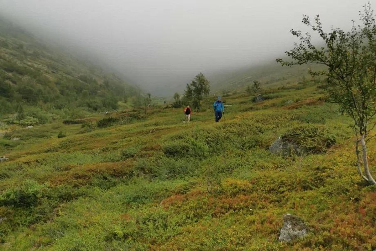 Ловозерские тундры