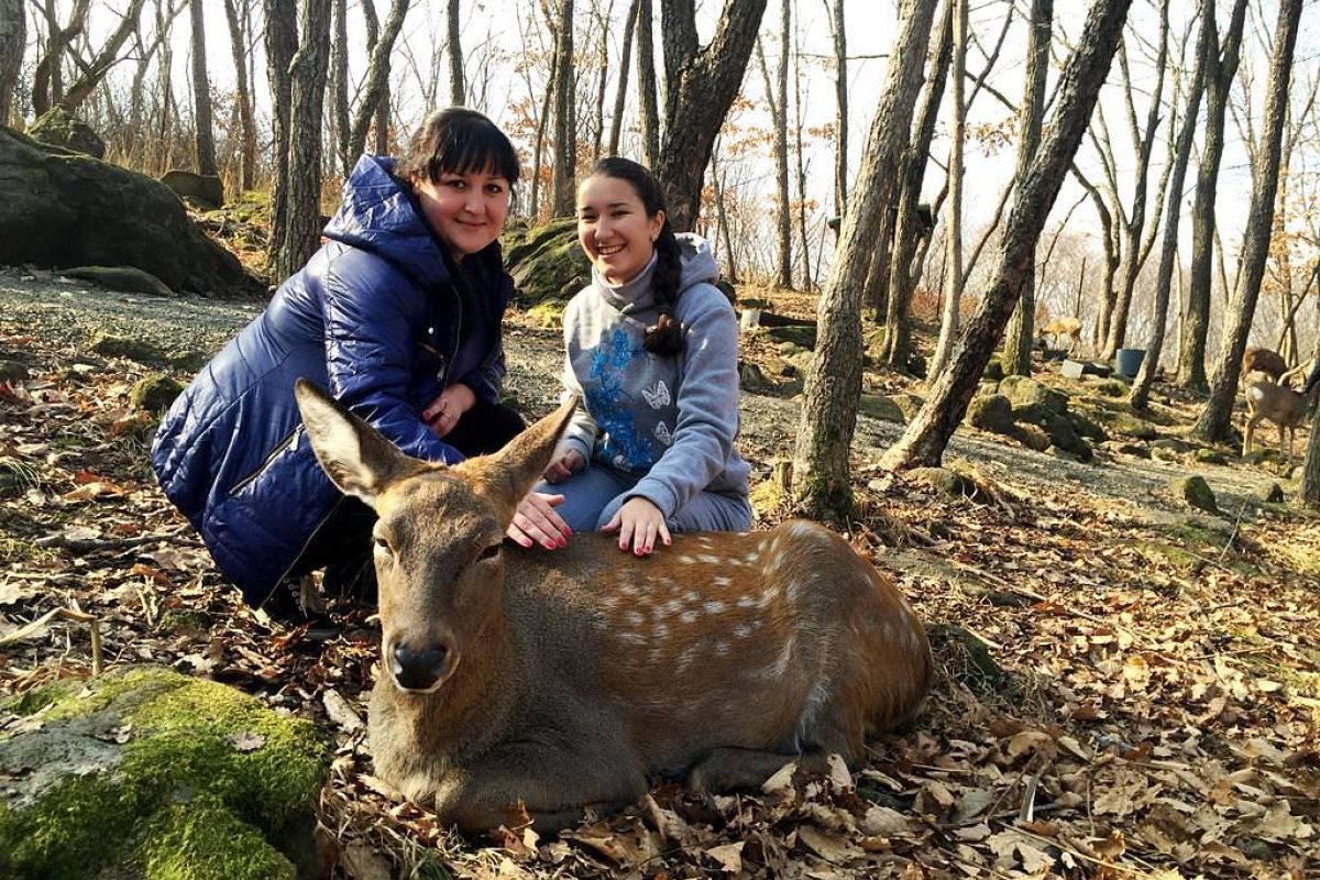 Сафари-парк + Стекляшка