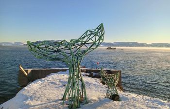 Аврора. Море. Ты. (пешая прогулка)