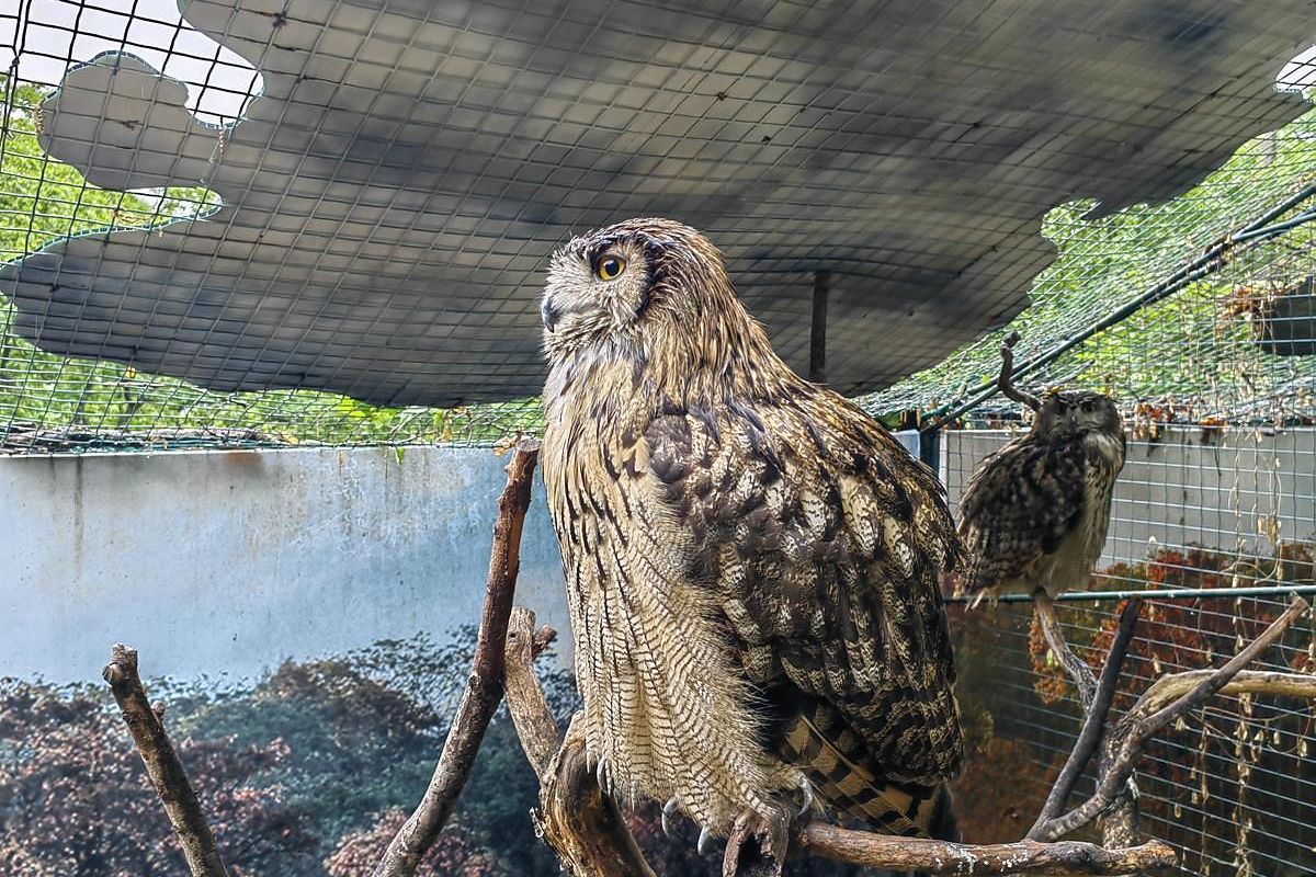 Тур "Приморье + Сахалин"