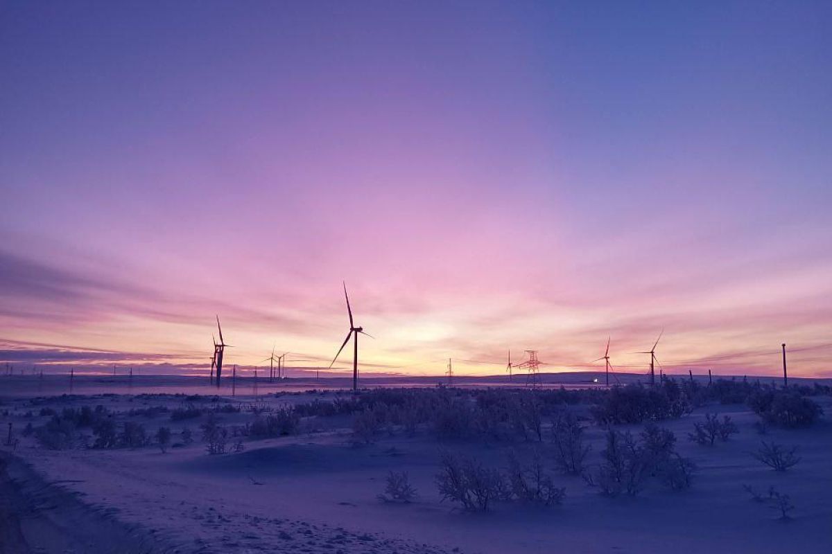 Ешь, лови, кайфуй (зима)