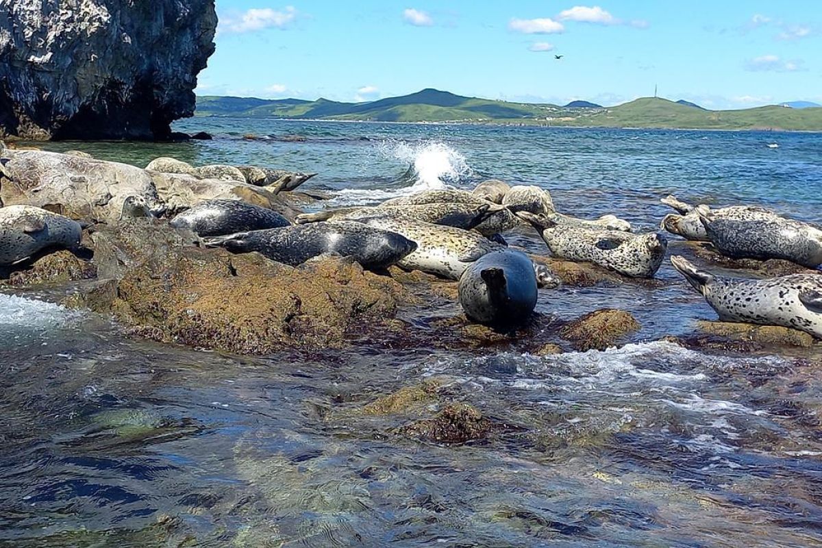 Тур "Морской заповедник"