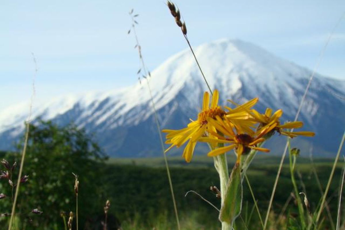 Обзорный тур по Камчатке, активный тур с восхождениями и отдыхом в SPA-отеле