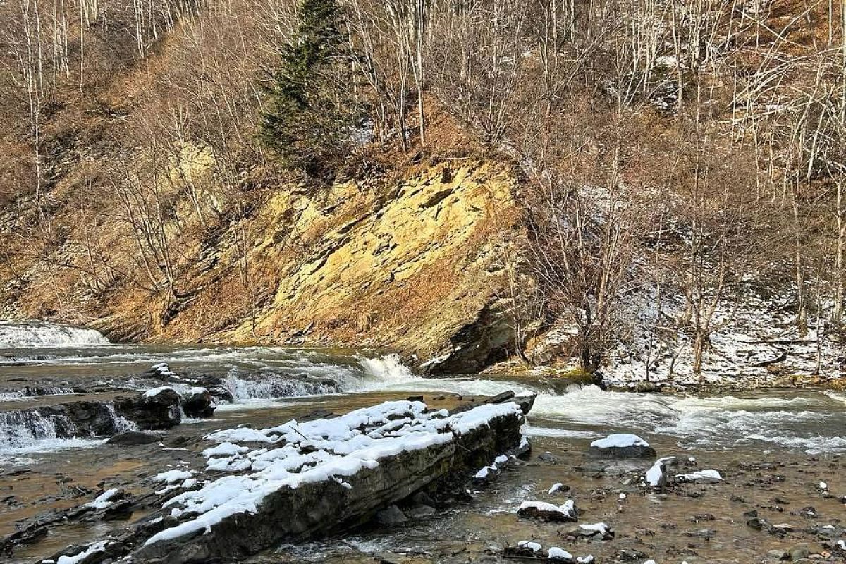 Быковские пороги и мыс Острый