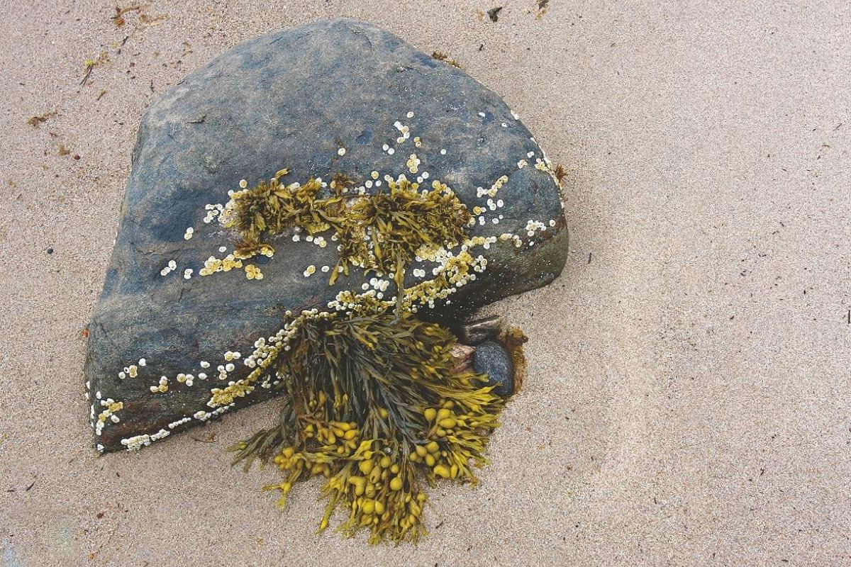 Трасса М18 – экспедиция на край света