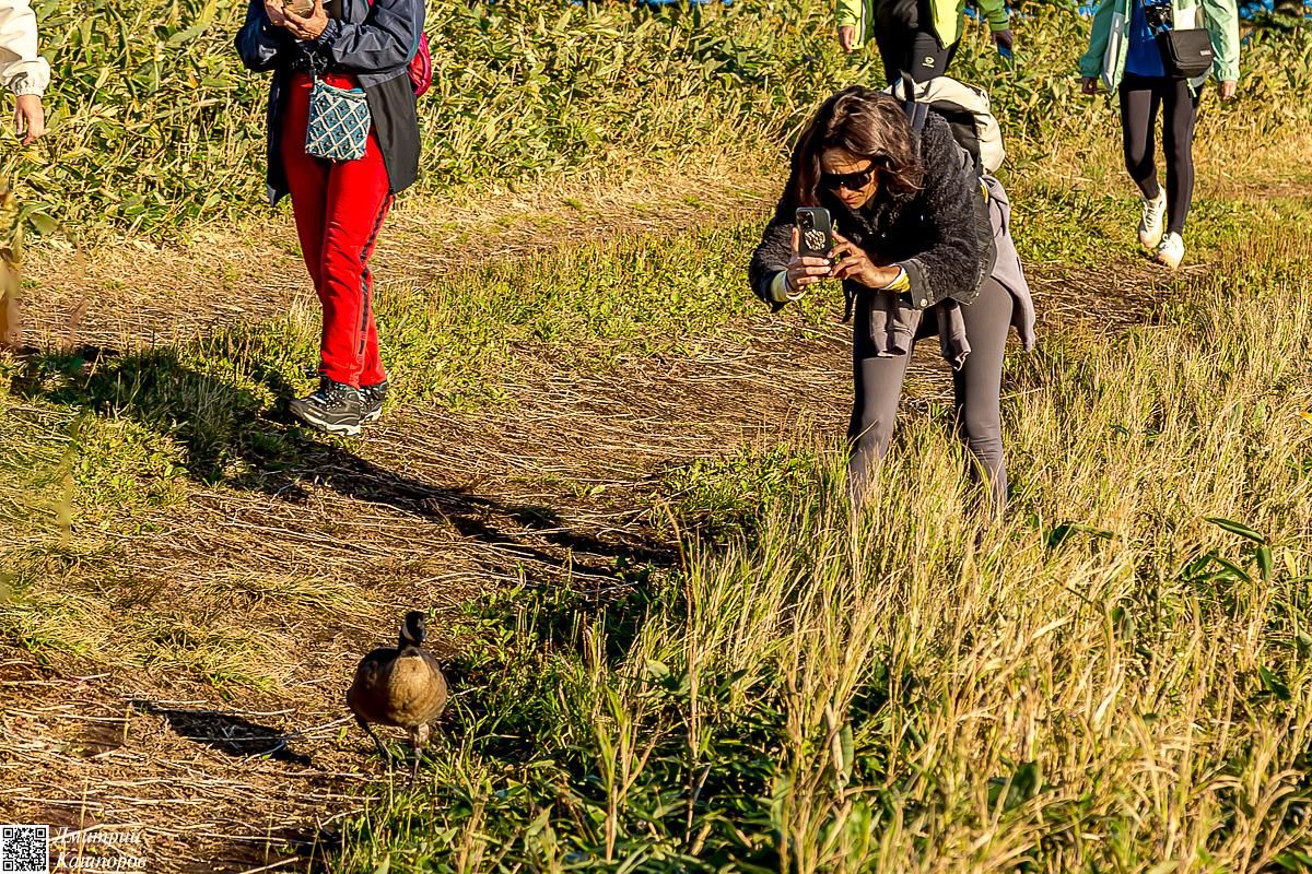 Итуруп и Шикотан. Путешествие на другую планету