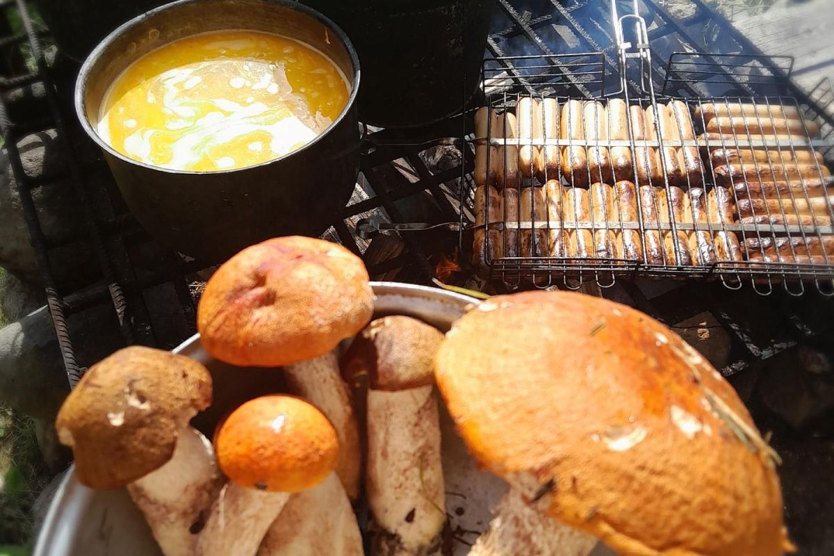 ТУР ДЛЯ ШКОЛЬНИКОВ "ВЫХОДНЫЕ В ЛЕСНОЙ ИЗБУШКЕ"