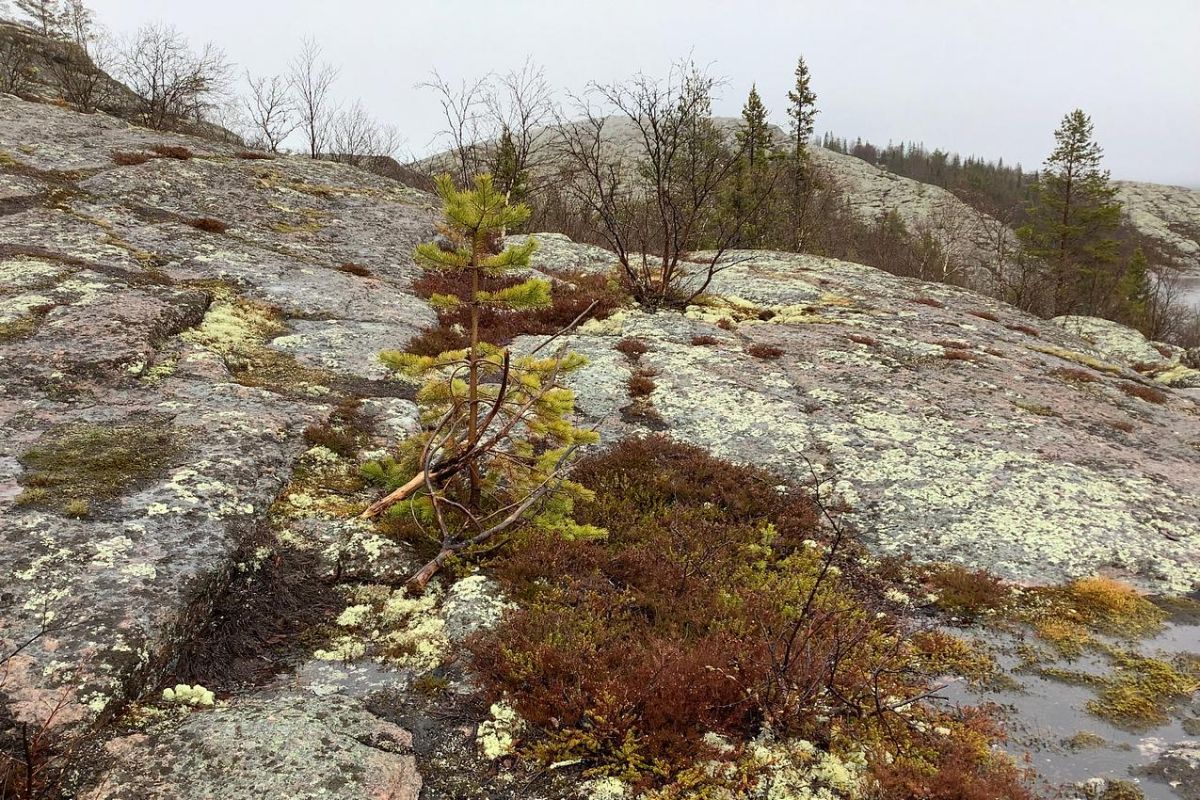3 дня - о. Немецкий (Кузова) - о. Соловецкий