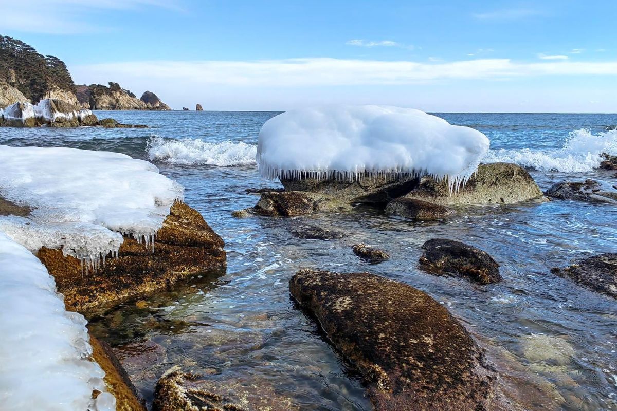 Тур "Четыре истории"