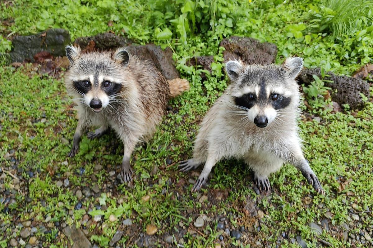 Тур "Приморье + Сахалин"