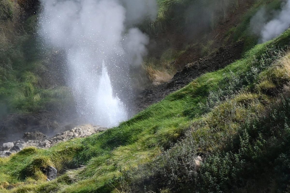 Вертолетная экскурсия в Долину Гейзеров, Узон и Налычевские источники