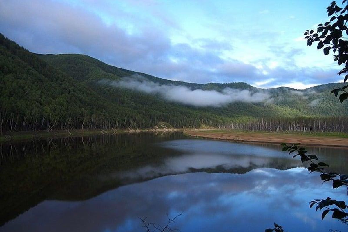 Центр охраны природы "Зейский"