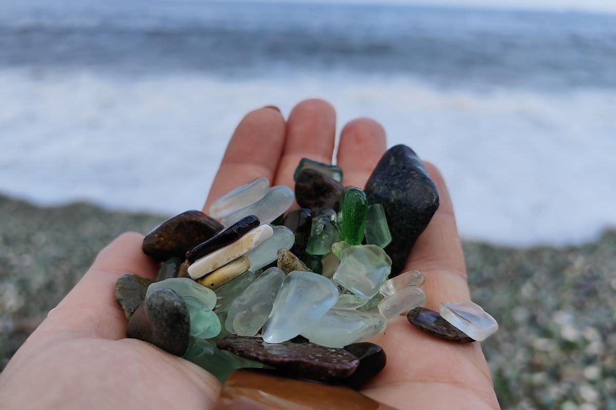 Сафари-парк + Стекляшка